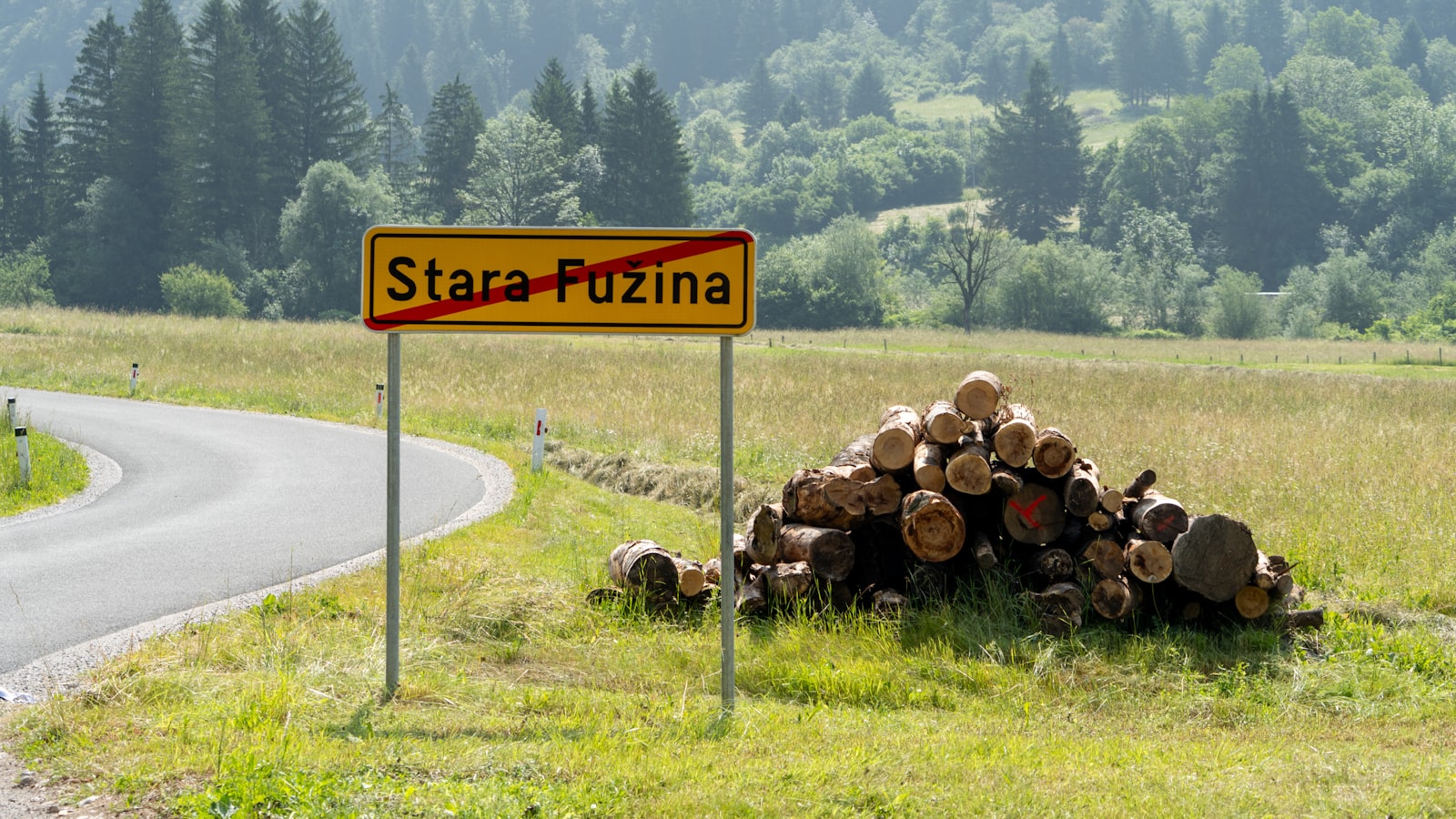 Pasivni dohodek za začetnike: katere možnosti so realne v Sloveniji